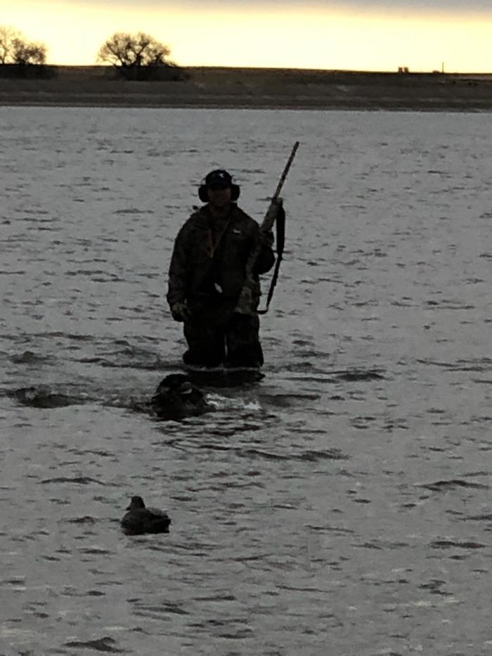 Wading at Dusk